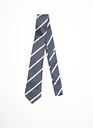 Cravate bleu EDEN PARK pour homme